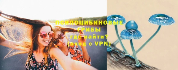 прущая мука Россошь