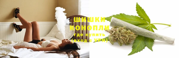 твердый Аркадак