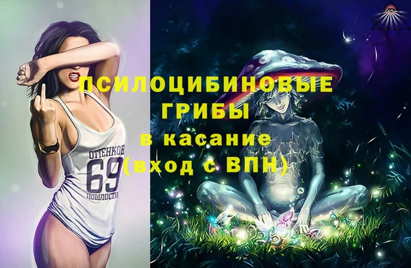 тгк Арсеньев